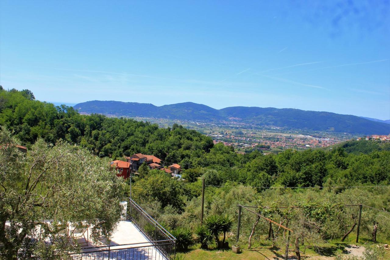 Fattoria Cristina Bilo Rosa Villa Castelnuovo Magra Luaran gambar